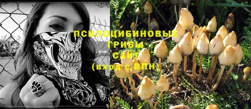 Псилоцибиновые грибы MAGIC MUSHROOMS  Дудинка 